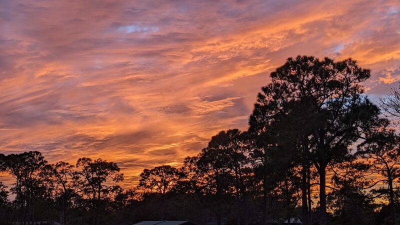 Police Foundation Park - West Melbourne, FL
