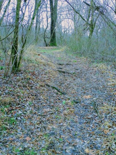 Collinsburg Community Park - West Newton, PA