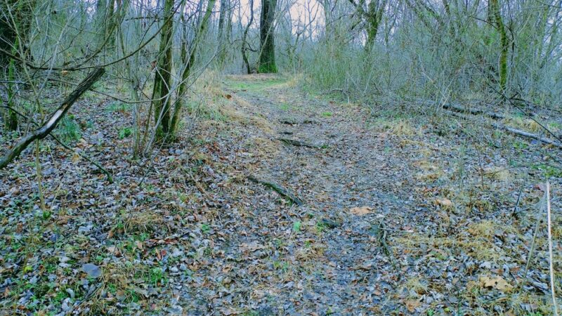 Collinsburg Community Park - West Newton, PA