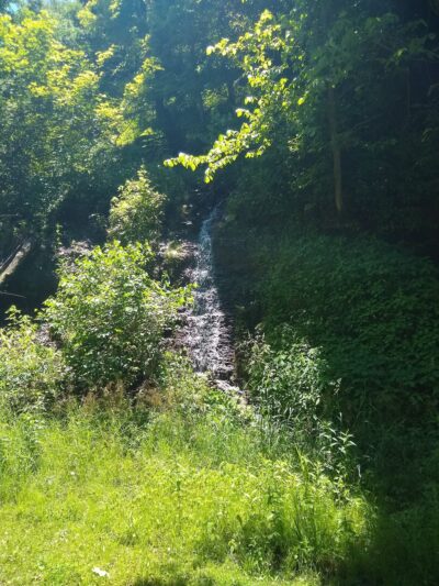 Great Allegheny Passage Picnic Area - West Newton, PA