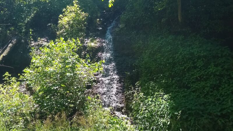 Great Allegheny Passage Picnic Area - West Newton, PA