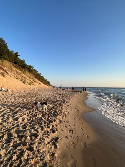 Kirk Park - West Olive, MI