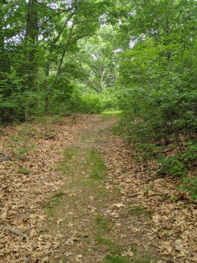 Brook Farm Walking Trail - West Roxbury, MA
