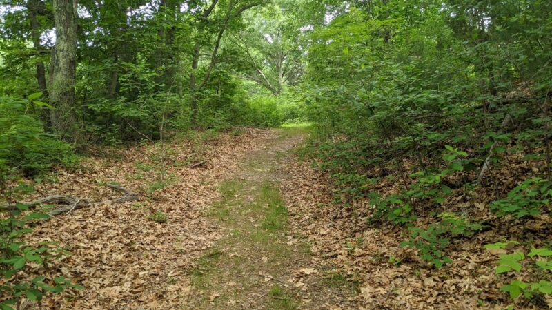 Brook Farm Walking Trail - West Roxbury, MA