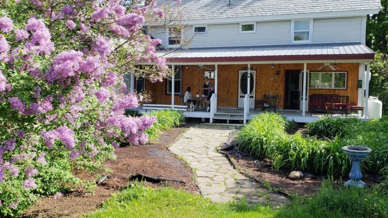 The Paw House Inn & Dog Friendly Cottages - West Rutland, VT