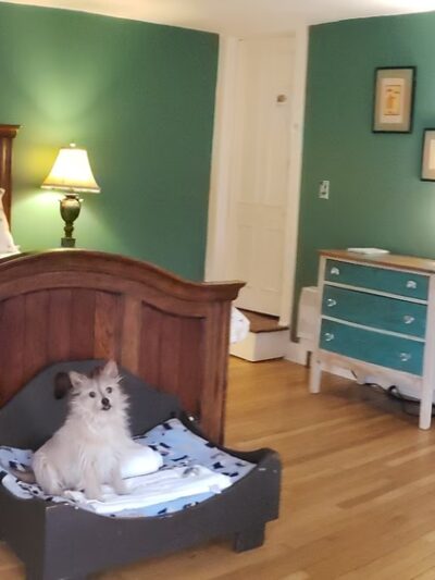 The Paw House Inn & Dog Friendly Cottages - West Rutland, VT