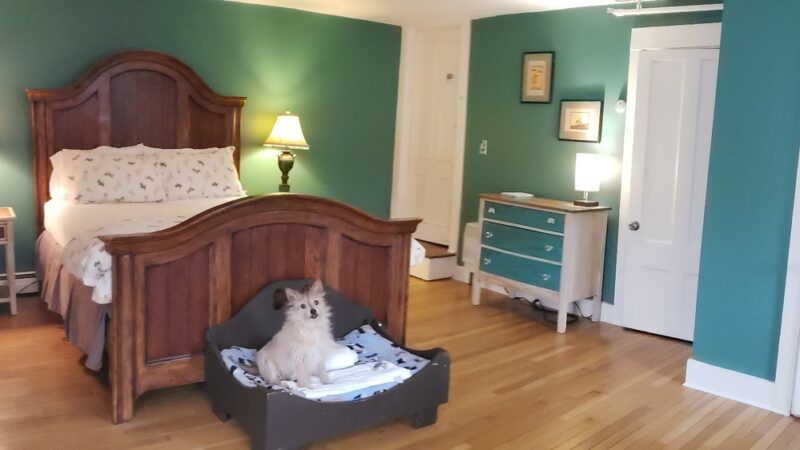 The Paw House Inn & Dog Friendly Cottages - West Rutland, VT