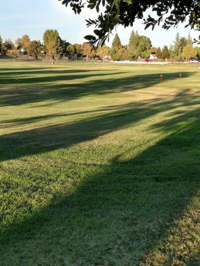 Summerfield Park - West Sacramento, CA