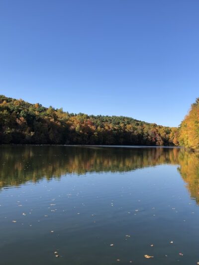 Park Superintendent - West Suffield, CT