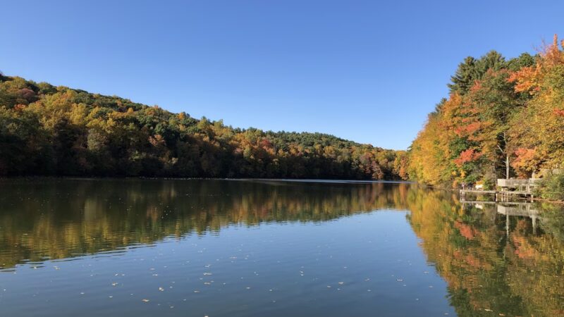 Park Superintendent - West Suffield, CT