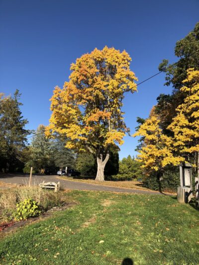 Park Superintendent - West Suffield, CT