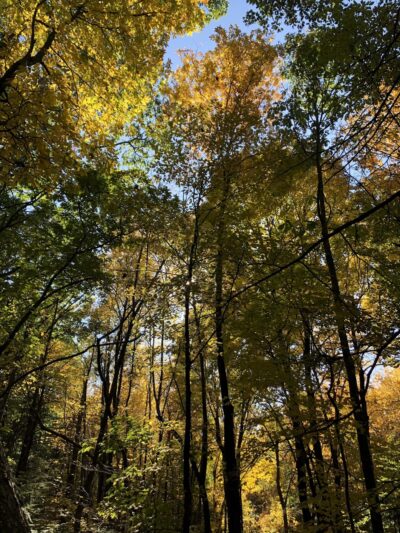 Park Superintendent - West Suffield, CT