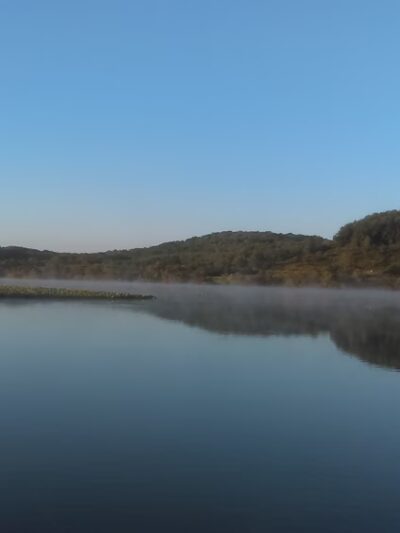 State Game Lands Number 95 - West Sunbury, PA