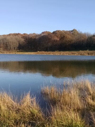 State Game Lands Number 95 - West Sunbury, PA