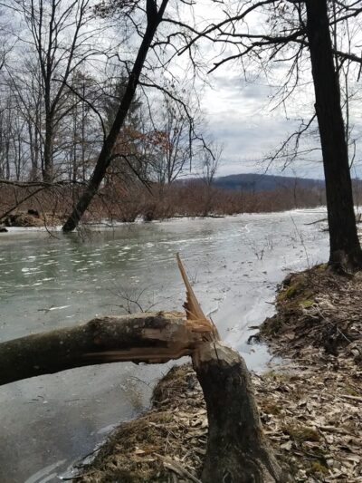 State Game Lands Number 95 - West Sunbury, PA