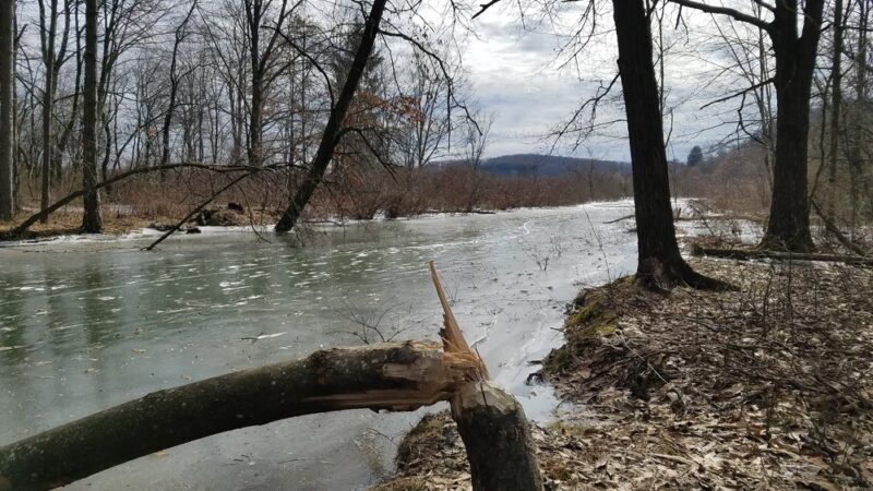 State Game Lands Number 95 - West Sunbury, PA