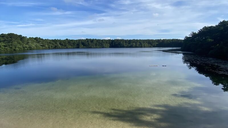 Sandy Pond - West Yarmouth, MA