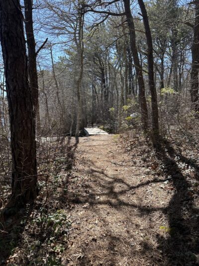 Sandy Pond - West Yarmouth, MA
