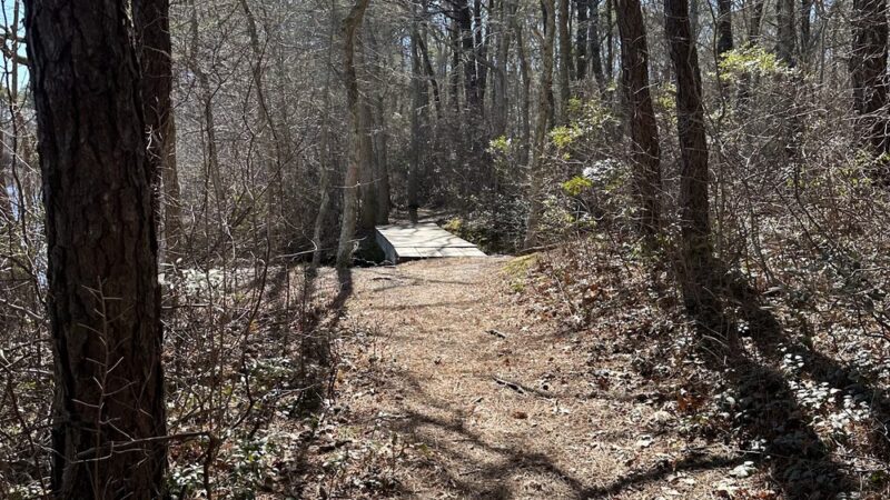 Sandy Pond - West Yarmouth, MA