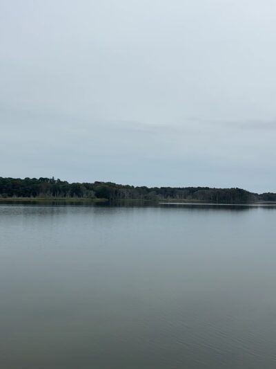Swan Pond Boardwalk - West Yarmouth, MA