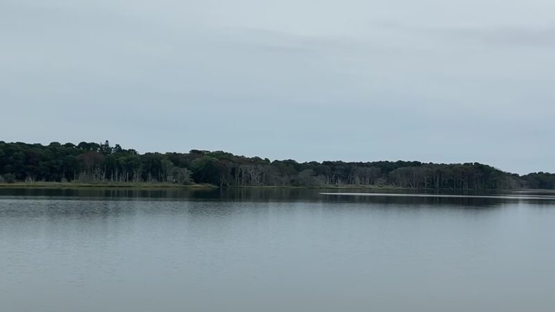 Swan Pond Boardwalk - West Yarmouth, MA