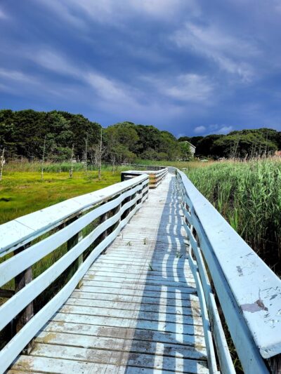 Swan Pond Boardwalk - West Yarmouth, MA
