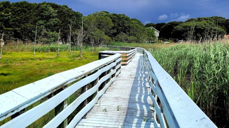 Swan Pond Boardwalk - West Yarmouth, MA