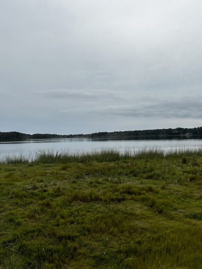 Swan Pond Boardwalk - West Yarmouth, MA