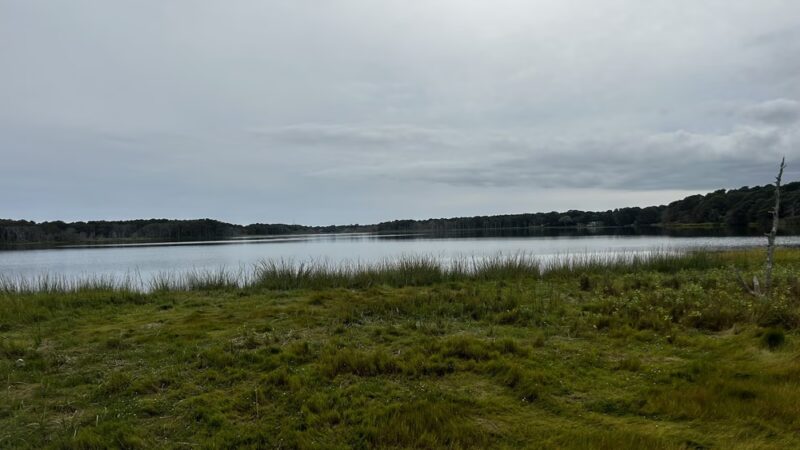 Swan Pond Boardwalk - West Yarmouth, MA
