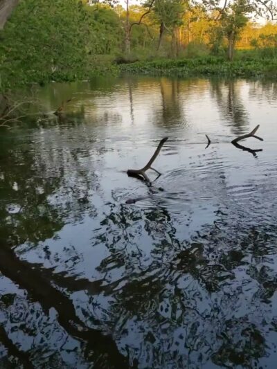 Rancocas Nature Center - Westampton Township, NJ