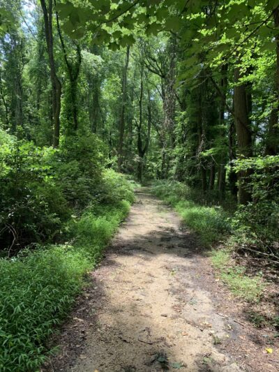 Rancocas Nature Center - Westampton Township, NJ