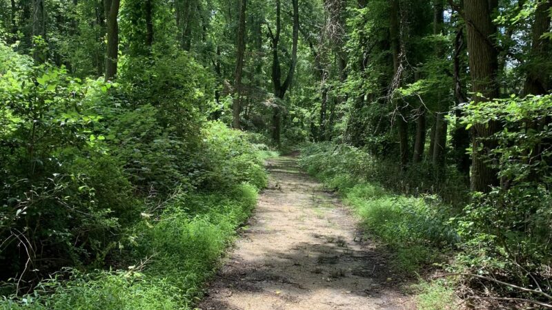 Rancocas Nature Center - Westampton Township, NJ