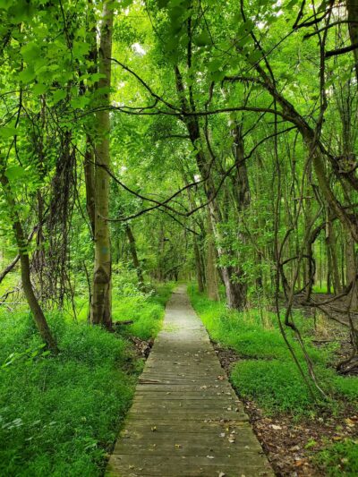 Rancocas Nature Center - Westampton Township, NJ
