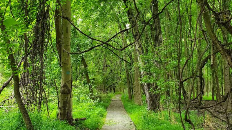 Rancocas Nature Center - Westampton Township, NJ