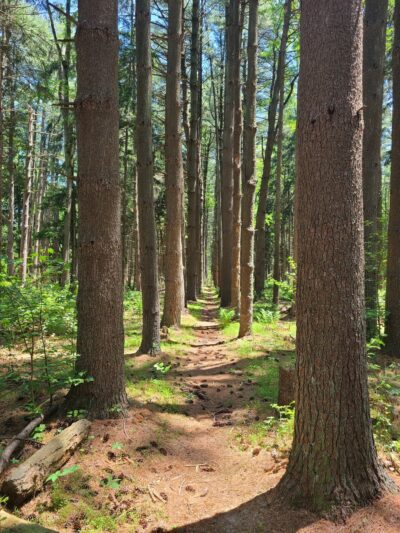 Rancocas Nature Center - Westampton Township, NJ