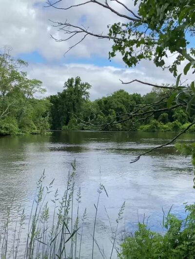 Rancocas State Park - Westampton Township, NJ