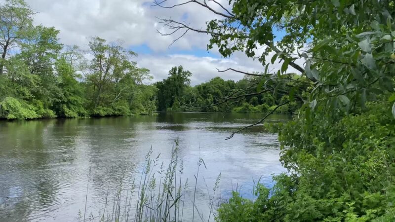 Rancocas State Park - Westampton Township, NJ