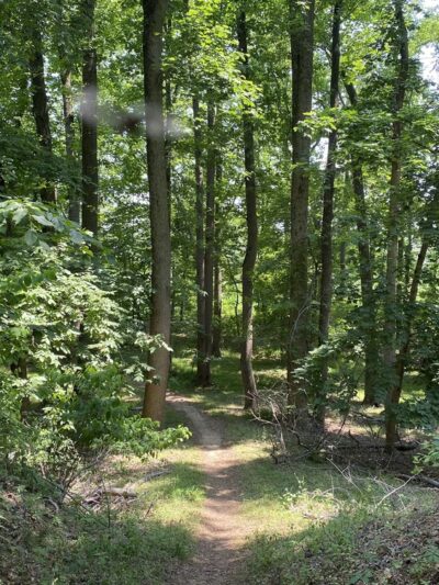 Rancocas State Park - Westampton Township, NJ