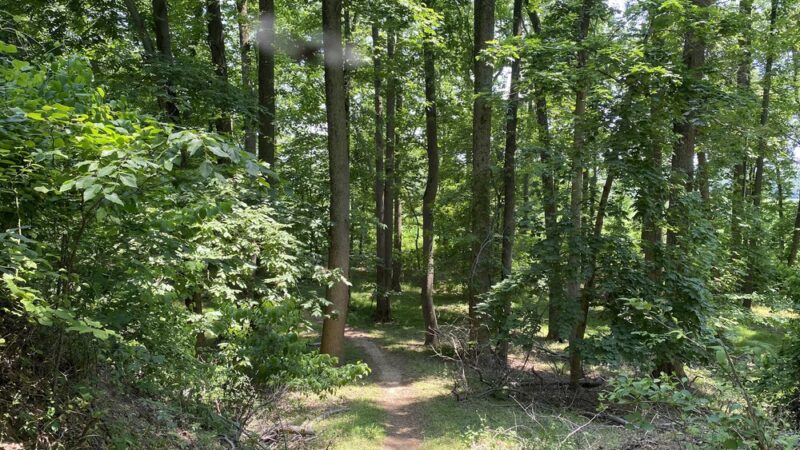 Rancocas State Park - Westampton Township, NJ