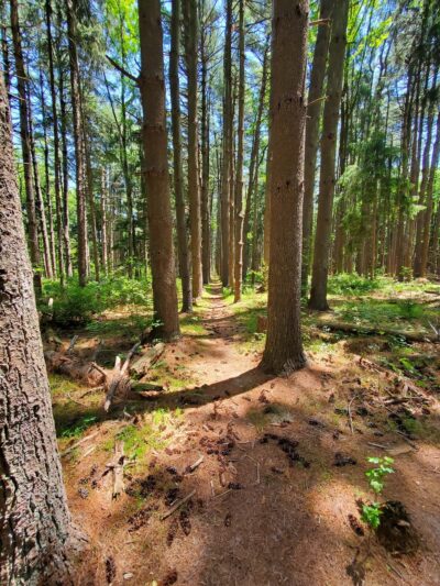 Rancocas State Park - Westampton Township, NJ