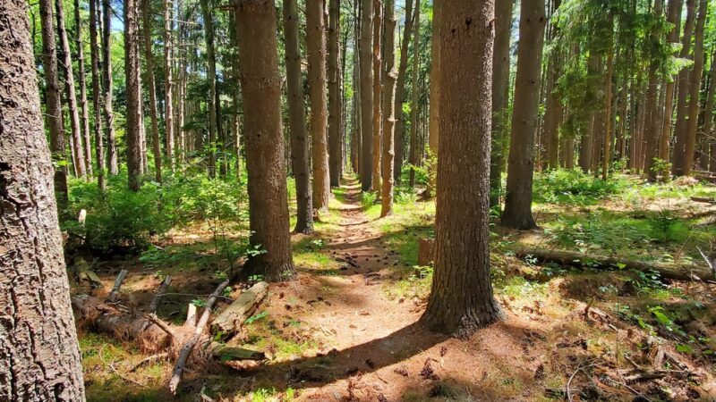Rancocas State Park - Westampton Township, NJ