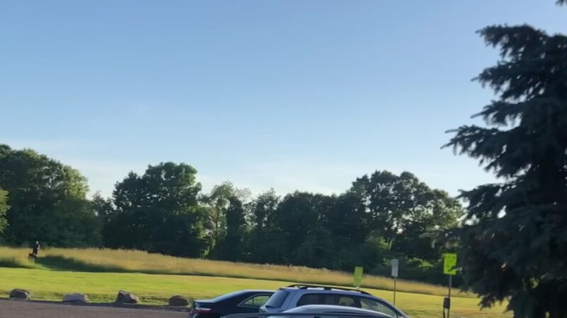 Veteran's Freedom Park - Westborough, MA