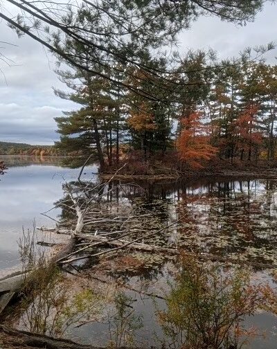 Veteran's Freedom Park - Westborough, MA