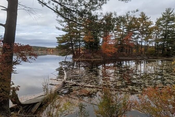 Veteran's Freedom Park - Westborough, MA