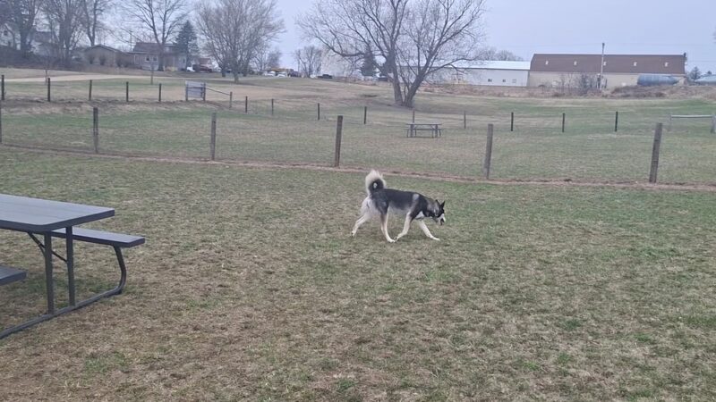 Syverson Park - Dog Park - Westby, WI