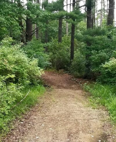 Pioneer Memorial Park - Westfield, WI