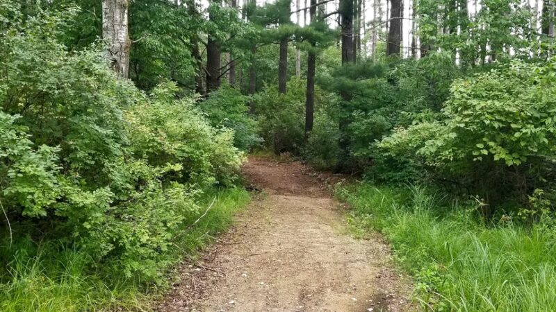 Pioneer Memorial Park - Westfield, WI