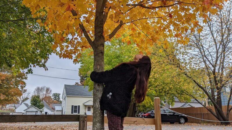 Freedom Park - Westford, MA