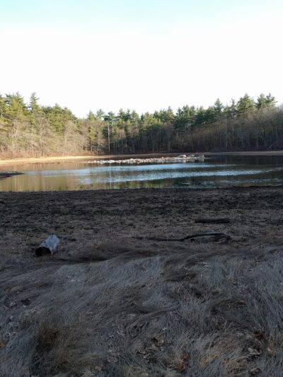 Grassy Pond - Westford, MA