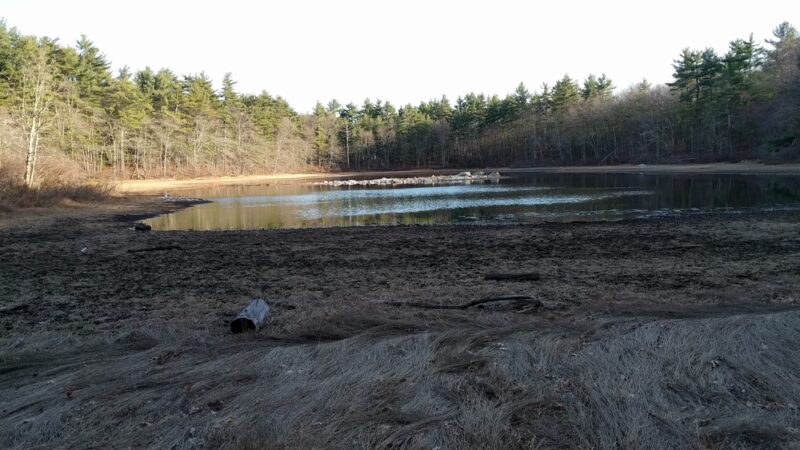 Grassy Pond - Westford, MA